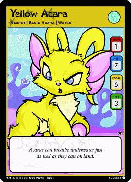 Yellow Acara